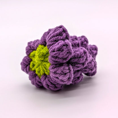Purple Bunch of Grapes Positive Vibes Crochet Minis